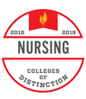 Nursing badge color